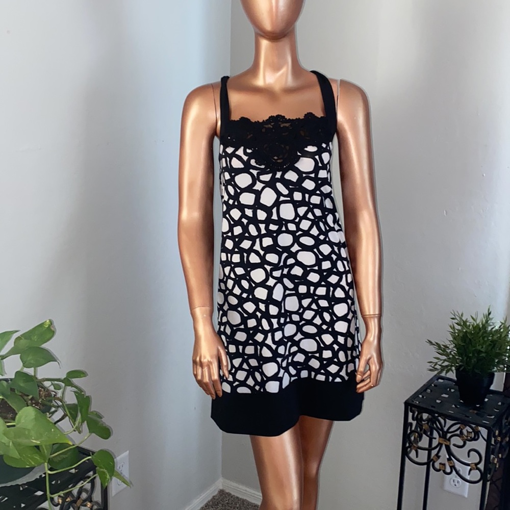 BCBG Dress